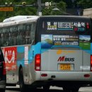 선진초등학교 이미지