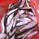 둥지 펜션 이미지