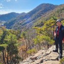 힐링(장태산) 이미지