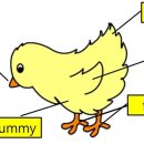 영어책스토리텔링지도법 이미지