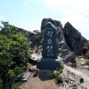 [백두민주]도대단맥종주(완)-각호산, 배걸이봉(영동)-4번째 찾은 각호산과 험준한 바윗길에 마음 졸이는 산줄기 | 백두대간 이미지