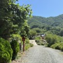 오룡목장 | [경남 하동찻집] 풍경좋은 예약제 찻집 다미산방에서 찾은 조용한 힐링