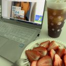 365용문약국 | [보름일기] 2025년 2월 (1)