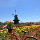 영화마을 버스정류장 | [Yeon’s Travelog] 네덜란드 잔세스칸스 풍차마을 (가는법·투어·크루즈 후기) 🫧🩵