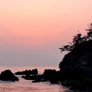 (주)허그린 네이버블로그