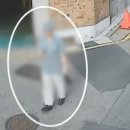 강남초등학교 이미지