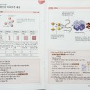 통합과학 추천교재 19탄_천재 셀파라이트 통합과학 이미지