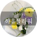 하유플라워