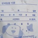 신흥동물병원 이미지