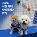 오키토키 | 수원메쎄 2026 케이펫페어 이것만 알고 가면 뽕 뽑는다!