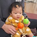 홈플러스성서 문화센터 체험 후기(단동십훈 토마토) 11개월 아기