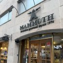 대안로 | [경북] 안동 빵집 맛집 맘모스 베이커리 크림치즈빵 후기