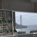 암오푸(AMOFU) 네이버블로그