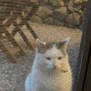 문수동그디 이미지