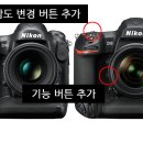 D5 이미지
