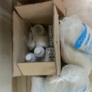 보성은하상가 이미지