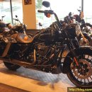 로드킹코리아 이미지