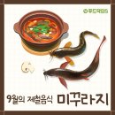 9월 제철음식 - 가을에 사랑받는 물고기 미꾸라지 영양소/효능/지역별 조리법