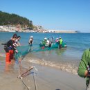 청산도느림보마을 이미지