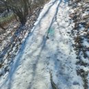 무룡고개 1쉼터 | 장안산 무룡고개코스 힐링등산 겨울산행 후기(26.1.2.)