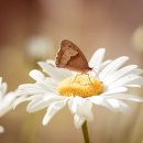 광명공인중개사 이미지