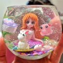 쇼타임(단체관람) | 대구아쿠아리움 제대로 체험한 대구여행 후기