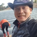 창수농장 이미지