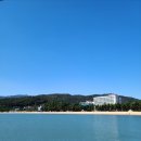전남 보성 율포 네이버블로그