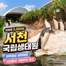 국립생태원 | 아이와 가볼 만한 곳 실내 생태원 30만 평 규모 서천 국립생태원 후기