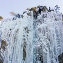 김울프
