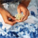 영혼의친구 이미지