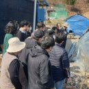 화천흑염소농장 이미지