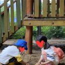 강동그린웨이 예약 주차팁 매화나무 자작나무 성공 후기