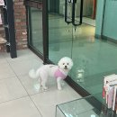 서울허브동물병원 이미지