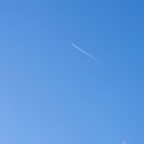 폰카로 사진 잘 찍는 방법 이미지