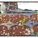 신가네농장 이미지