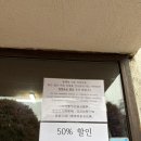 제주멍 | 제주 서귀포 동백포레스트 후기 | 동백꽃 없을 때 할인정보