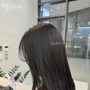 벨헤어 이미지