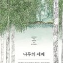 실험의 세계로 떠나는 과학여행 네이버블로그