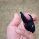 수지메디칼 이미지