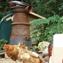 옥포식당 이미지