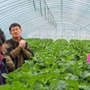맛기찬 - 구리시 | 맛기찬