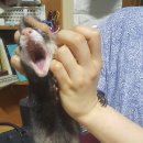 가브리엘의 다락방 이미지