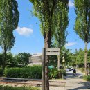 한천중학교 앞 이미지