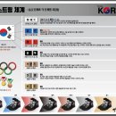 팀레슬라이킥