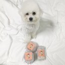 히피(HEEPY) 이미지