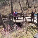 원주굽이길 원4코스 명봉산진달래길 이미지