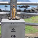 종달리 생개납 돈짓당 | 제주 종달리 생개납 돈짓당 고망난돌 쉼터