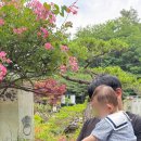백년찻집 - 창녕군 계성화왕산로 290 | [경주] 분위기 좋고 산책하기 좋은 "백년찻집" 내돈내산 후기