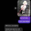 버터멍 이미지
